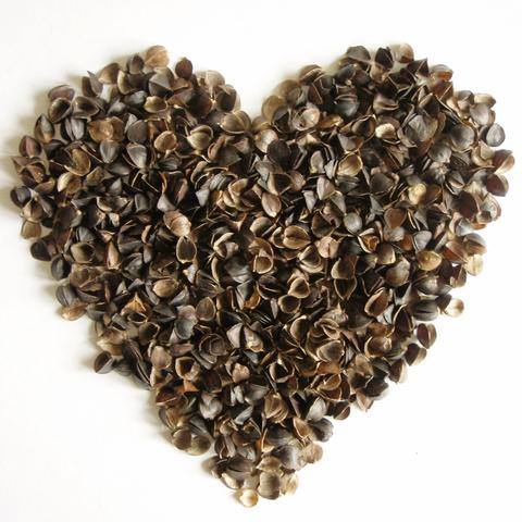 buckwheat hull heart1